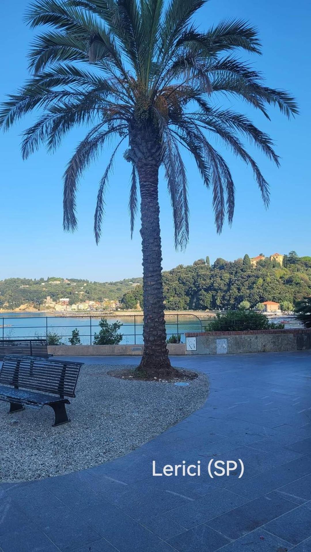 Appartamento Luni Casa Dolce Casa Posto Accogliente Tranquillo Nicola Esterno foto